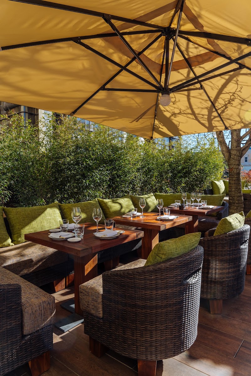 Zuma Madrid